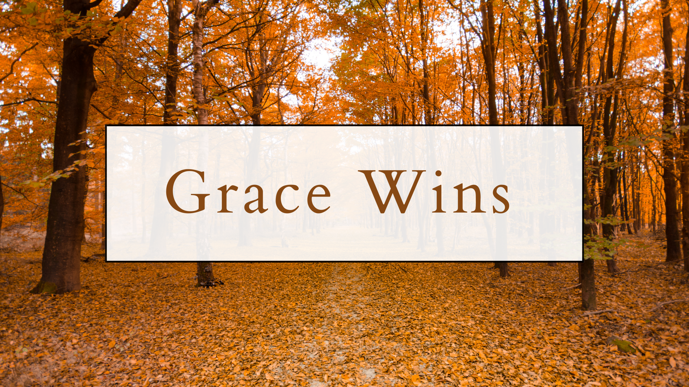 The Power of Grace in the Work of Inclusion