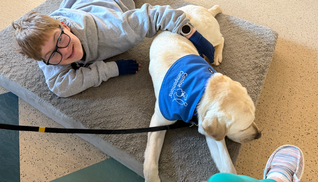 A doggone perfect match: Pre-match day